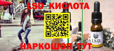 шишки Кузнецк