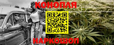 тгк Кудрово