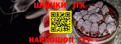 тгк Кудрово