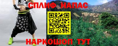 тгк Кудрово