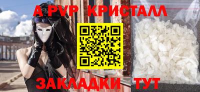 шишки Кузнецк