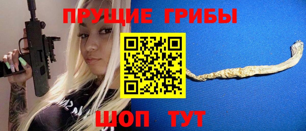 Псилоцибиновые грибы Cubensis  Вход с VPN  Саянск  Псилоцибиновые грибы Psilocybine cubensis 